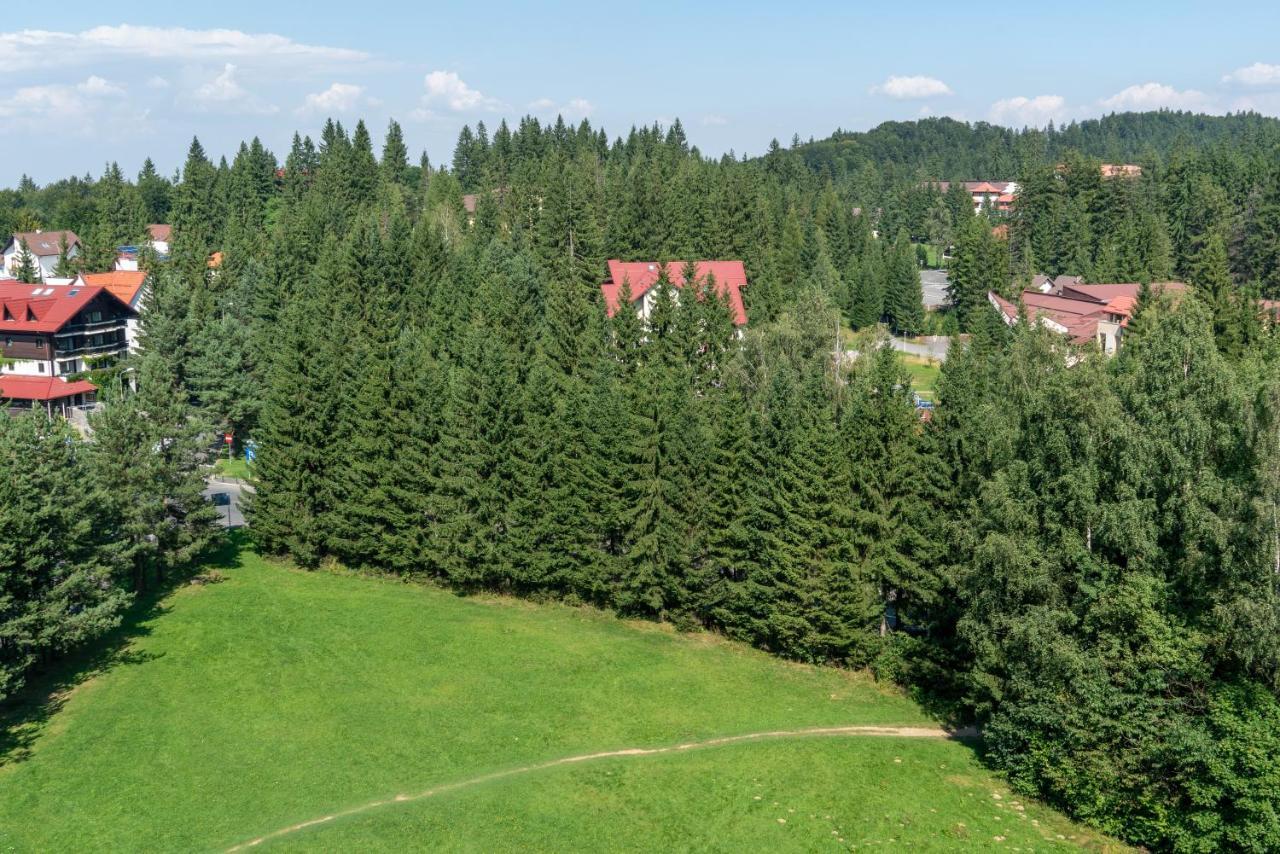 Apartament Executive Vedere Munte Alpin Resort Пояна-Брашов Экстерьер фото